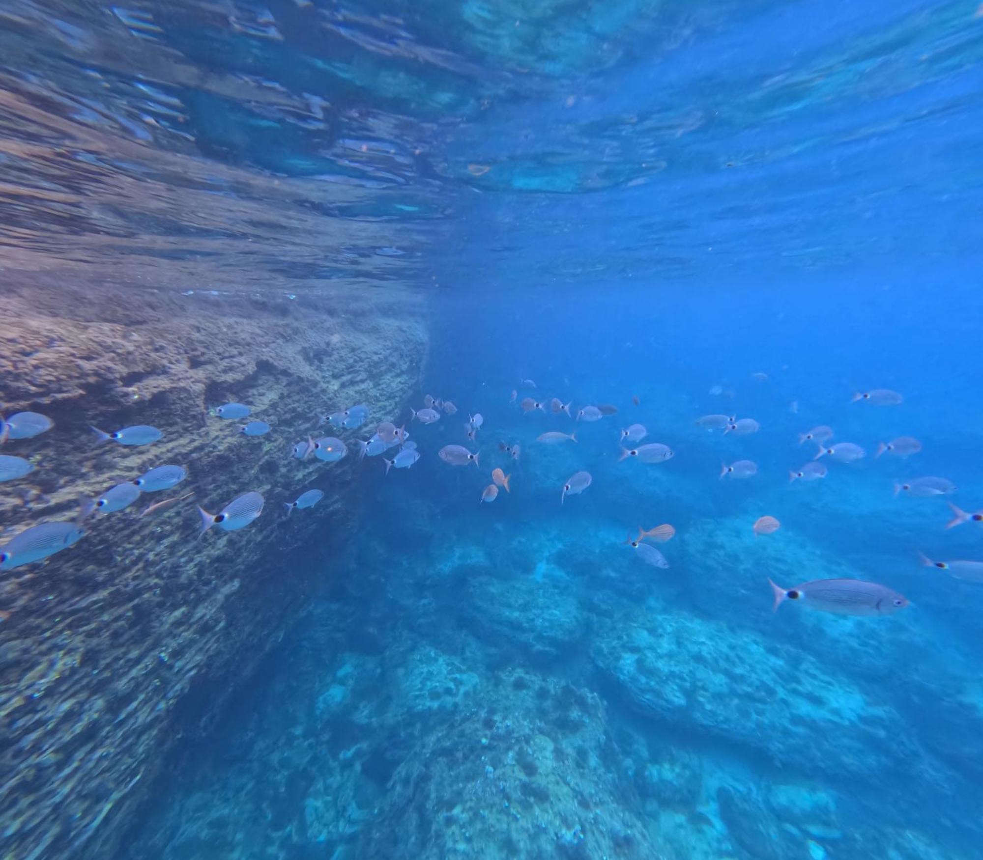 Entre Ciel Et Mer Hotel Bonifacio  Εξωτερικό φωτογραφία